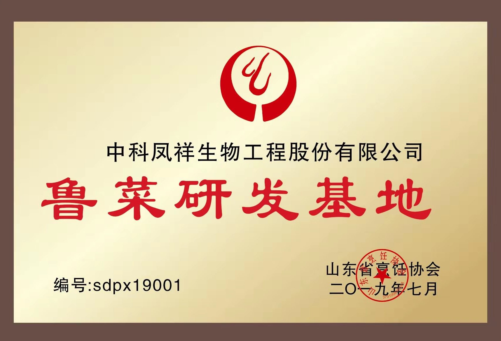 荣誉轮播